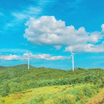 全民主公手机版下载