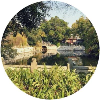 九游版修仙q传下载